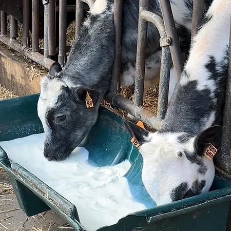 Au Charme De - Peaceful Place Near Disneyland Paris, Train Station Rer, Nature Ferienhaus *