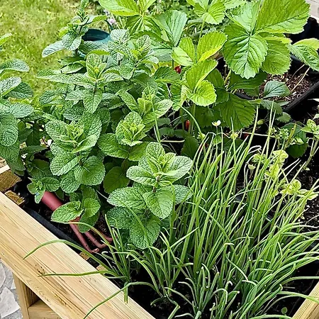 Ferienhaus Au Charme De - Peaceful Place Near Disneyland Paris, Train Station Rer, Nature